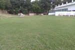 lawn-4